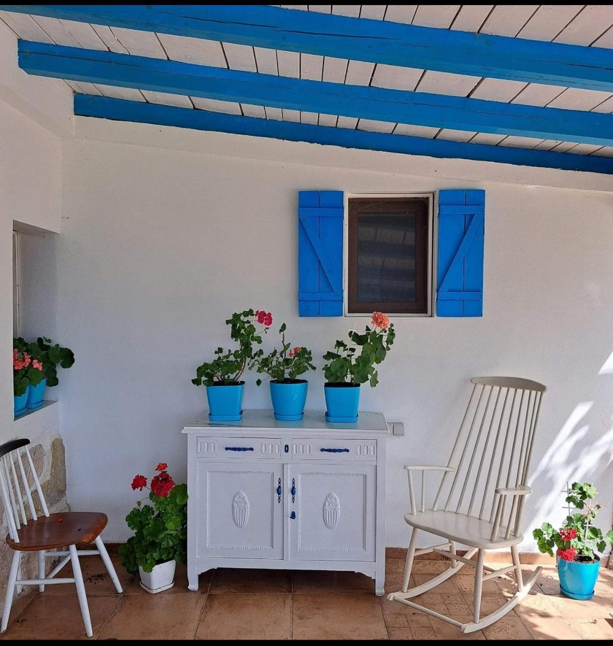 Etno house HAPPY VILLAGE Cetinje Exteriér fotografie